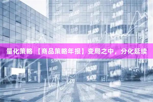 量化策略 【商品策略年报】变局之中，分化延续